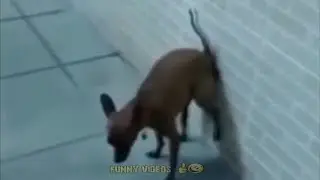 Bomb Has Been Planted