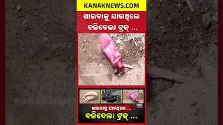 5 Killed In Horrific Truck Accident At Berhempur Overbridge | CM Announces ₹4L Aid