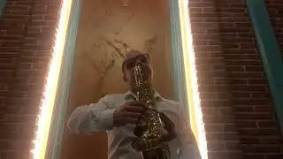 Sarah Brightman & Andrea Bocelli - Time To Say Goodbye | SAX COVER