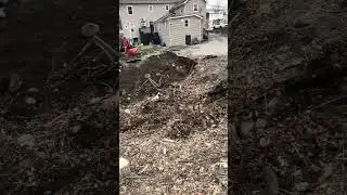 Tree Removal Services Morris County NJ