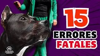 Avoid These 15 Mistakes with Your Guardian Dog!