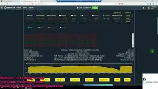 Bitsler Dice Twist Roulette Boom Hybrid Script || 4 in 1 Script || Make Upto 5000 Tron Profit a Day!