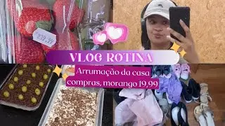 VLOG -Rotina da casa | O caos, uma caixa de morango R$19,99 #vlog #limpeza #arrumação 