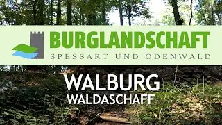 Waldaschaff - Walburg