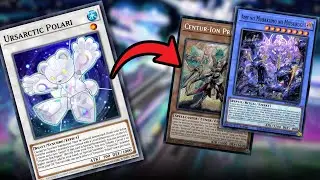 Forgotten Yu-Gi-Oh! Archetypes: Ursarctic (Combo + Deck Profile)