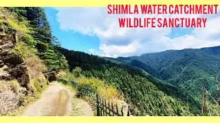 TOURIST ATTRACTIONS OF SHIMLA, HIMACHAL PRADESH WITH BEAUTIFUL PHOTOS