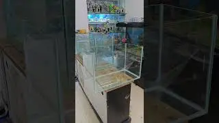 Itna Bada Aquarium kya rate ka aaega || #fishtanks #fishaquarium #aquarium #aquariumhobby