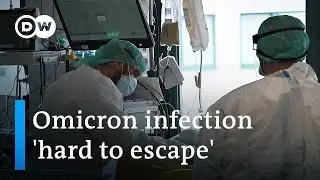 Omicron disrupts Christmas celebrations around the world | DW News