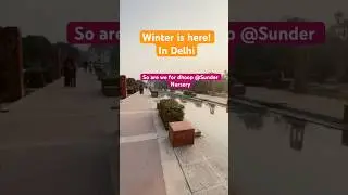 Winter🌤️ #sundernursery #sodelhi #delhigram #shorts #yputubeshorts #winter #delhiwinter #minivlog