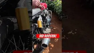 Red Rooster Interceptor in India 🇮🇳 😍 #motorcycle