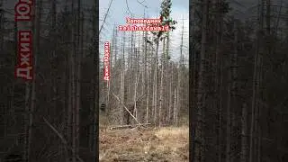 Кулисы для сьёмок фильмов-катастров