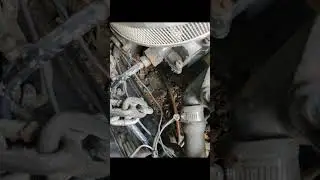 offshore boat work mercruiser engine repair #adventure #automobile #agualux #yachting #st Augustine.