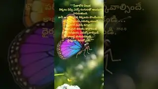 A Butterfly Teaches a Beautiful Lesson || status || naamanasumata