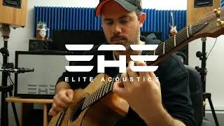 Elite Acoustics EAE D6 58 Acoustic Amplifier Sound Demo 