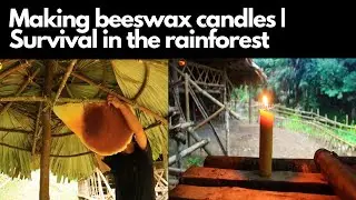 Making beeswax candles | Survival in the rainforest