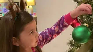 Holiday Hali Decorates the 2023 Christmas Tree