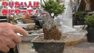 夏にする仕事じゃない