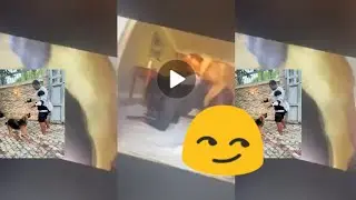 Confession of a Lagos Girl having fun with a Dog (Full Tape)