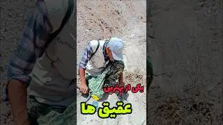 یکی از بهترین عقیق هایی که میشه در طبیعت پیدا کرد#سنگهای_قیمتی#عقیق