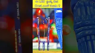LED Stumps Price ? | vhr cricket