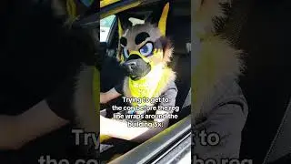 Grab yo things #furry #fursuit #fursona #Sprint #antifurry #furries #therian #oc #furryoc #anthro