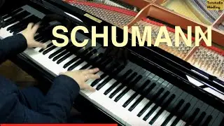 Schumann Papillons op. 2 | Martin Ivanov, piano