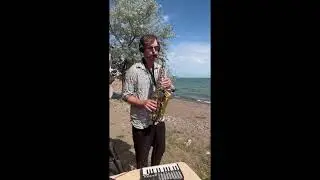 Samson Pink @ Lake Kapshagay (Kazakhstan) // Live Set