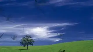 free greenscreen swarming bees