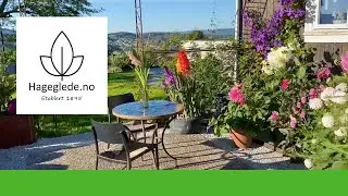 Dyrketips for Gladioler