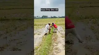মারের উপর ঔষধ নাই  $$Local Janota #local_janota #shorts #short #trending #foryou #viral