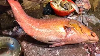 I Tested The Most Impressive Red Snapper Cutting Skills In Fish Market | Fish fillet | Shark fillet