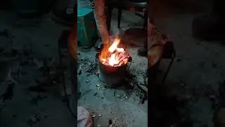 happy lhori