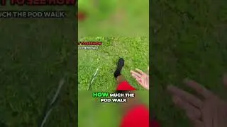 Walking in Water Challenge: Testing Yeezy Pods Durability in Grassy Terrain