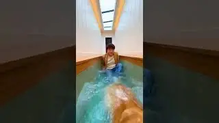 1+😂🐾🐟6666 IQ Cat vs Dog&hellip; Epic Playtime Showdown #funny #pets #cute