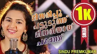 മിസരിപ്പൂ പട്ടുടുത്ത്  മിസരിയായ് ചമഞ്ഞൊരുങ്ങി | Sindhu Premkumar | Mappilappattu Video Album