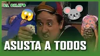 El Chavo del 8: El ratón de Quico