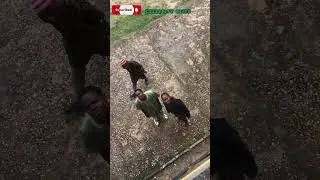 #nigerianskit #funny