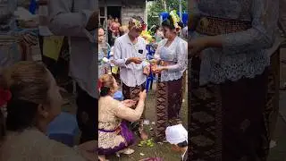 Pawiwahan/Perkawinan❣️Budaya Adat Bali #budayabali #wedding #balinesetradition