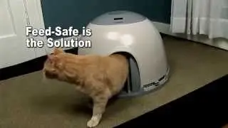Pet Safe Feeding Station for Cats / Small Dogs