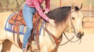 Fancy- Sarah McKibben Cowgirl Cadillacs Horse Sale