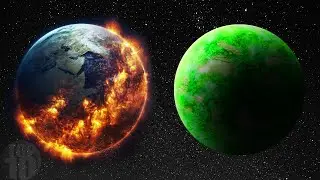 What If Humans Were Never On This Planet?