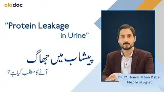 Symptoms of Protein Leakage in Urine - Protein Leakage in Urine Causes | Treatment of Proteinuria