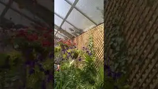 Butterfly House & Insect World #2 - Mackinac Island