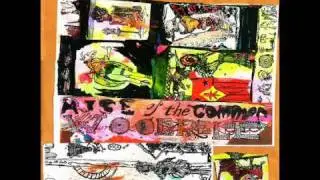 Caroliner Rainbow Open Wound Chorale - Gut