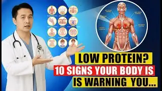 10 Signs Your Body Needs More Protein  Low Protein Symptoms & Protein Deficiency Signs