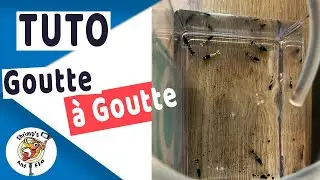 Comment acclimater les crevettes ? [Tuto]