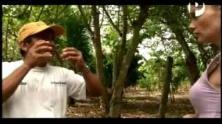 Aventura Culinaria visita a productores de Appcacao