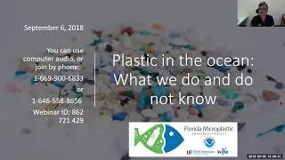 Webinar Plastic in the ocean  what we do and do not know 9 6 18