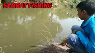 Village River  Fishing Video And Amazing Huge Big Fish Hunting !!! #fishing #fish #fishhunting