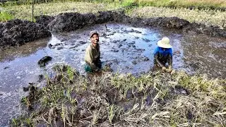Làm Ruộng ở Vùng Lầy Một Ngày Vất Vả Không Ai Muốn Thử